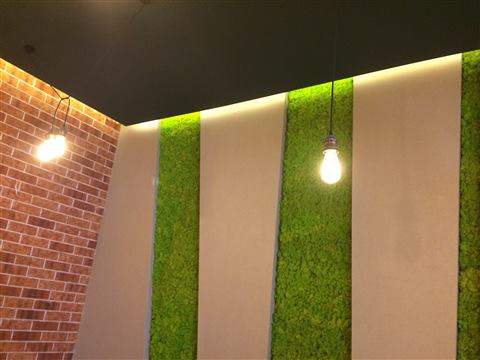 Perete de licheni stabilizați – GJC Sun Plaza, foto 8 din 19